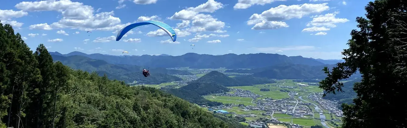 飛んでいる様子